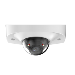 IPC-HDBW2449F-AS-IL 4MP Smart Dual Light Fixed-focal Dome WizSense Network Camera