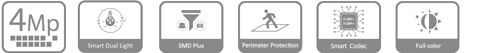 IPC-HDBW2449F-AS-IL specifikacijos